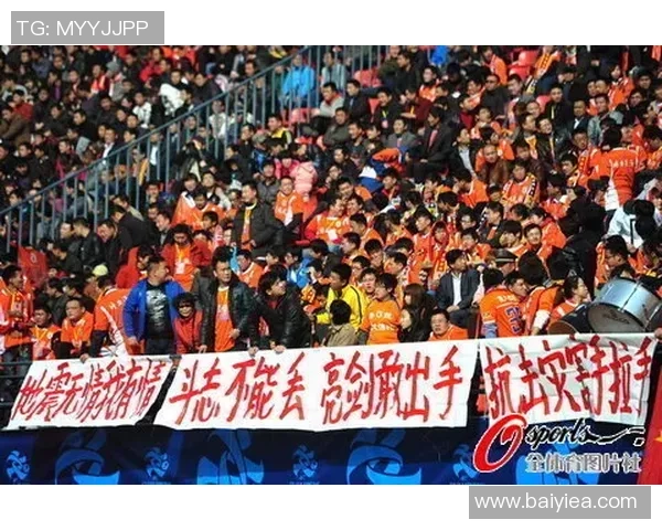 上港与智诚激战正酣赛果揭晓引发球迷热议与期待