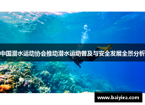 中国潜水运动协会推动潜水运动普及与安全发展全景分析