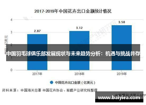 中国羽毛球俱乐部发展现状与未来趋势分析：机遇与挑战并存