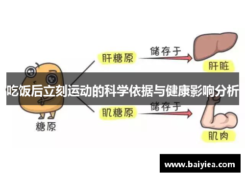 吃饭后立刻运动的科学依据与健康影响分析