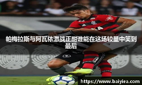 帕梅拉斯与阿瓦依激战正酣谁能在这场较量中笑到最后