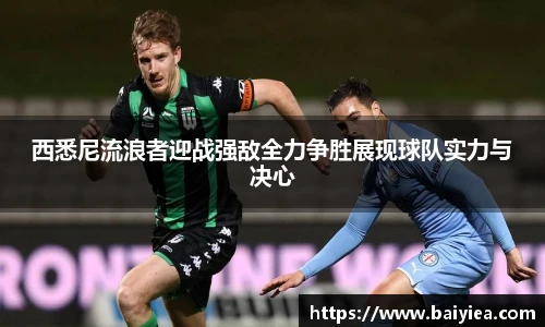 哈哈体育平台